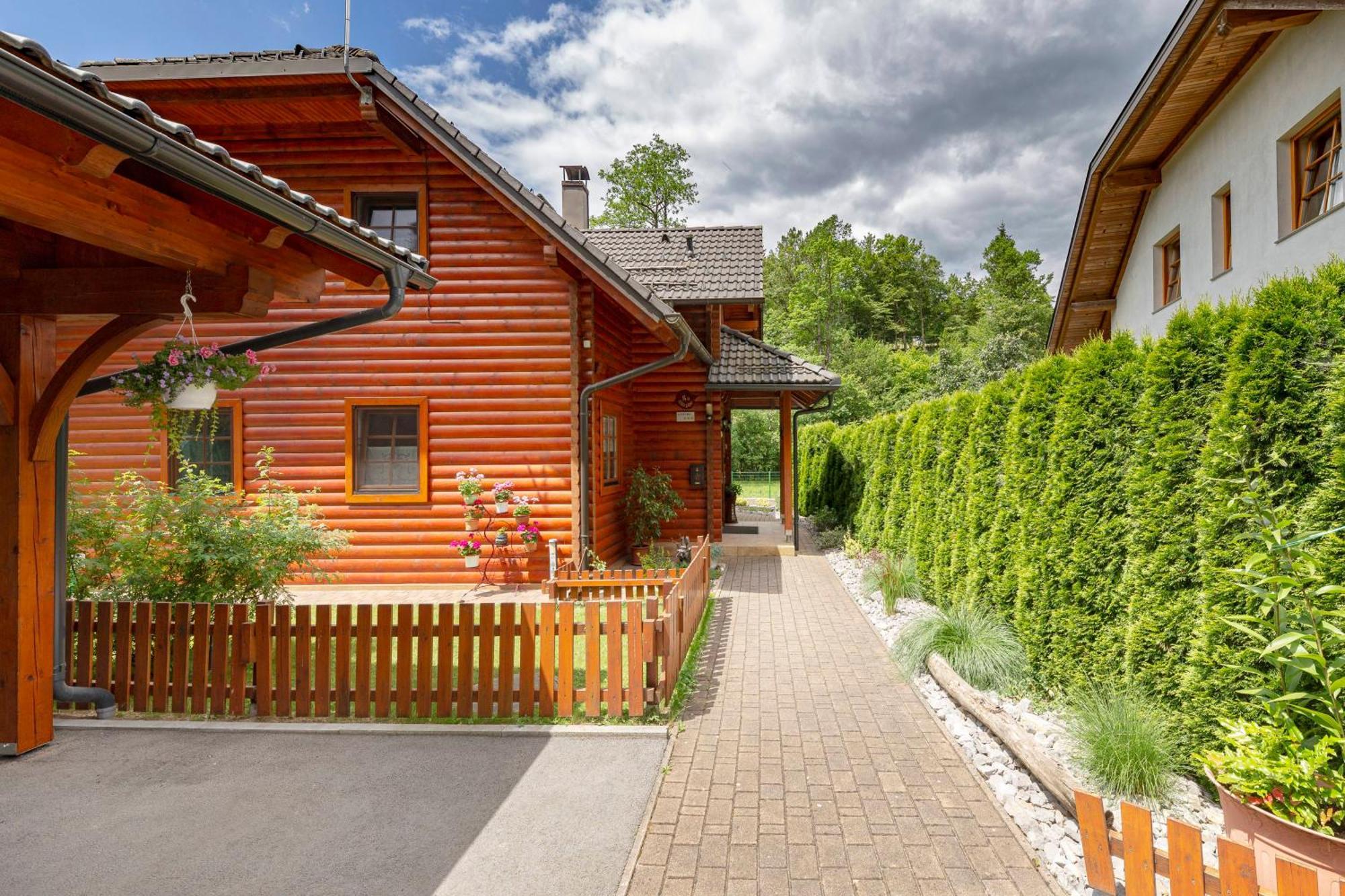 Apartma Metka Medvode Exterior photo