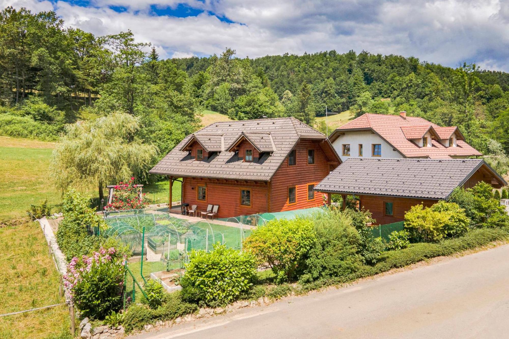 Apartma Metka Medvode Exterior photo